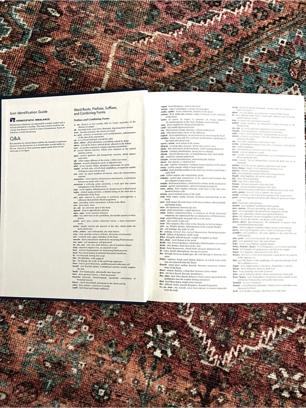 Pearson hardcover anatomy